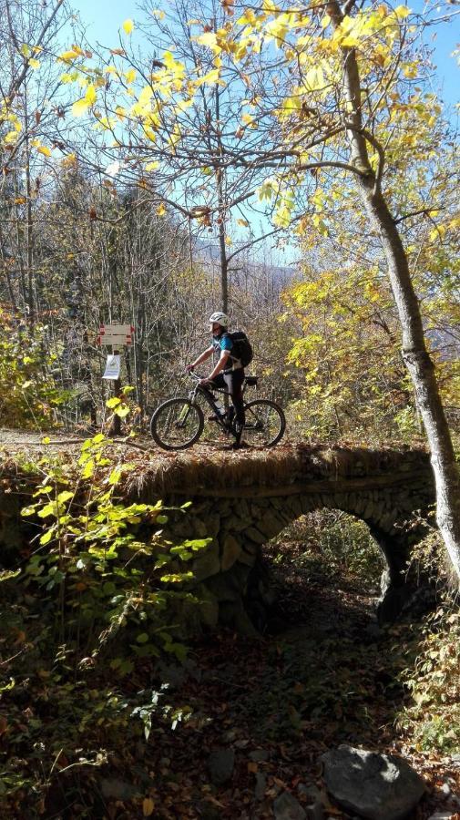 Campeggio Valle Gesso Entracque Εξωτερικό φωτογραφία